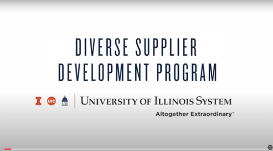 Diverse Supplier Development Program: Businesses In Illinois